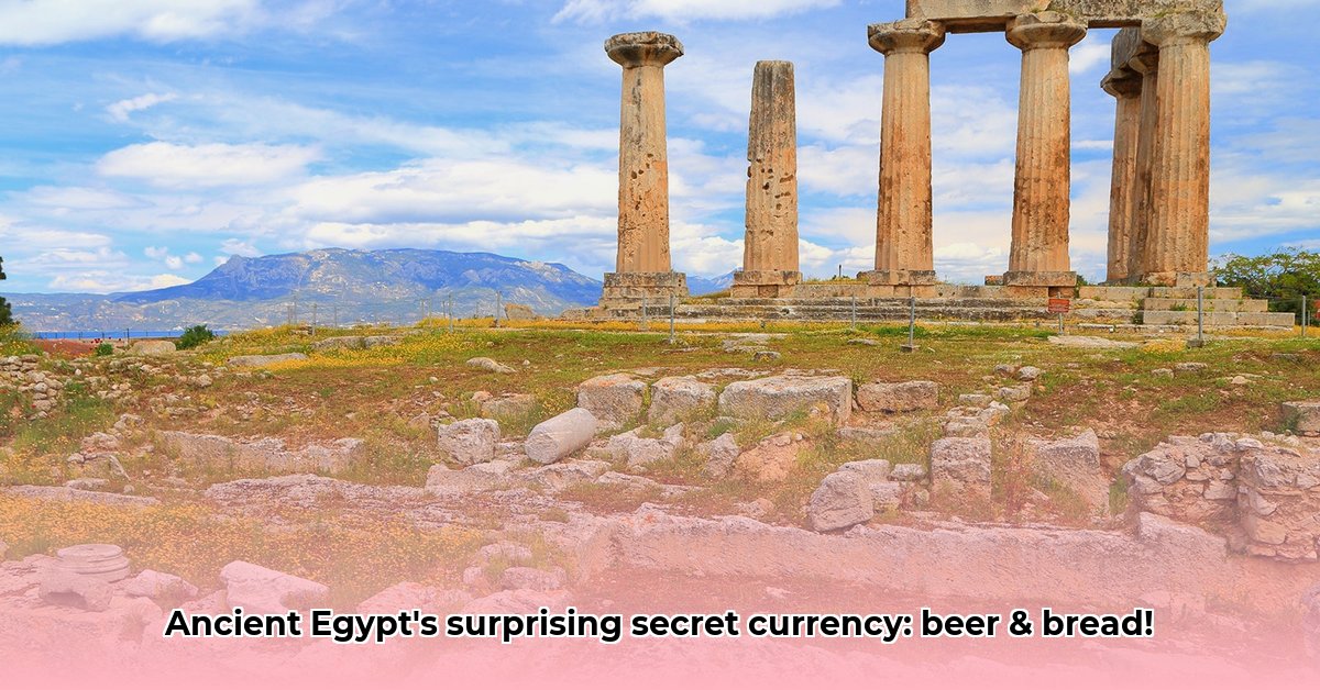 How Ancient Egyptians Used Beer and Bread as Currency and Rations edited