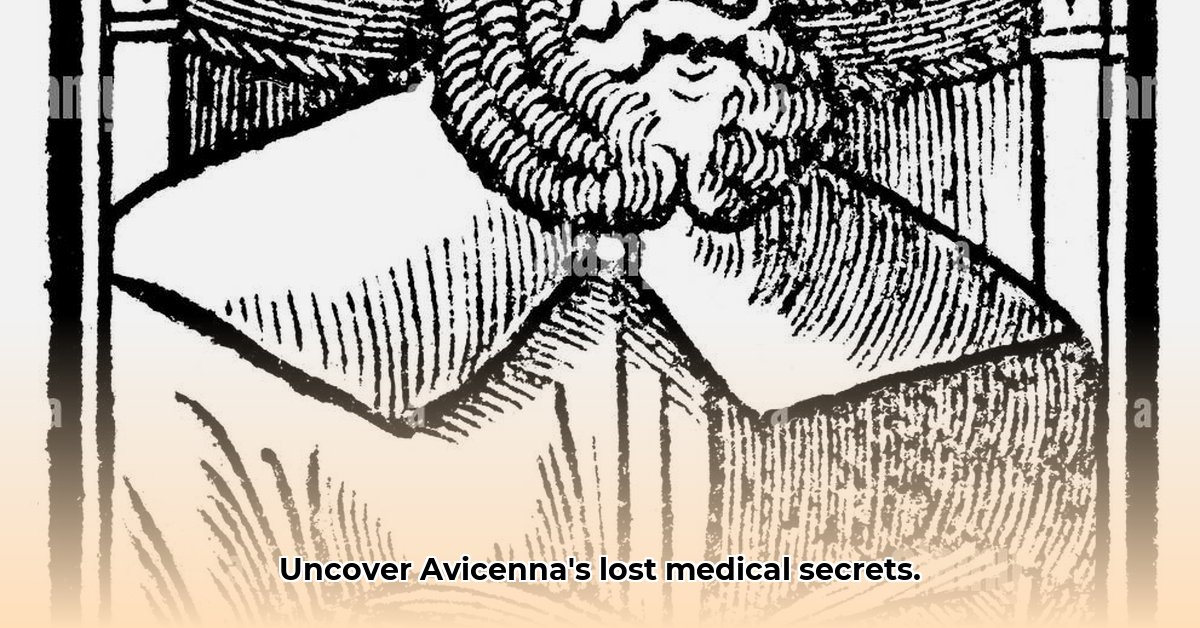 Ibn Sina Avicenna The Polymath Who Wrote the Canon of Medicine edited