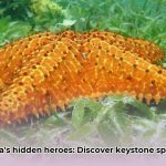 Keystone_Species__The_Unsung_Heroes_Holding_Ecosystems_Together_edited
