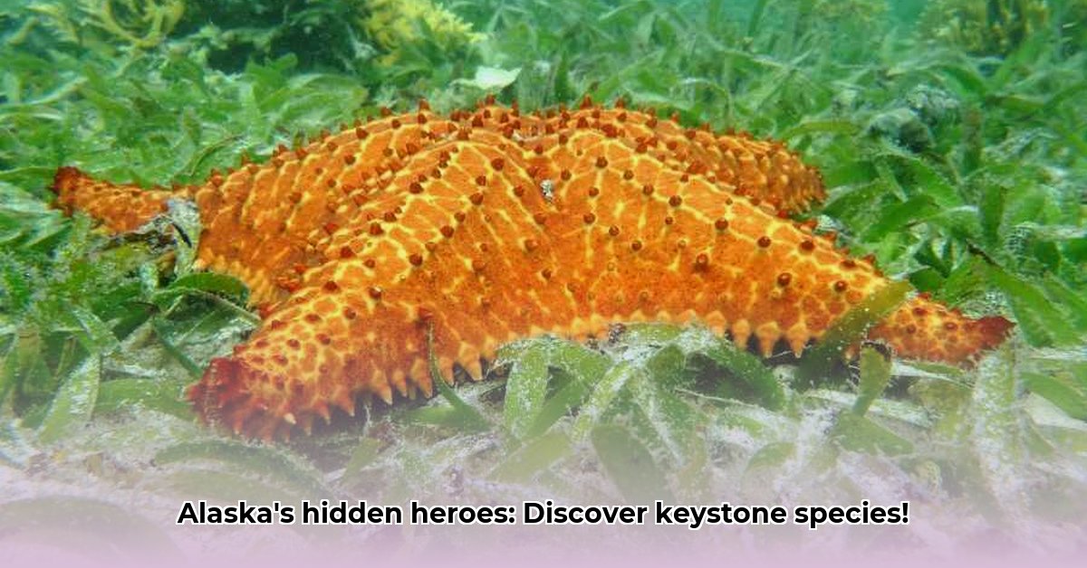 Keystone Species The Unsung Heroes Holding Ecosystems Together edited