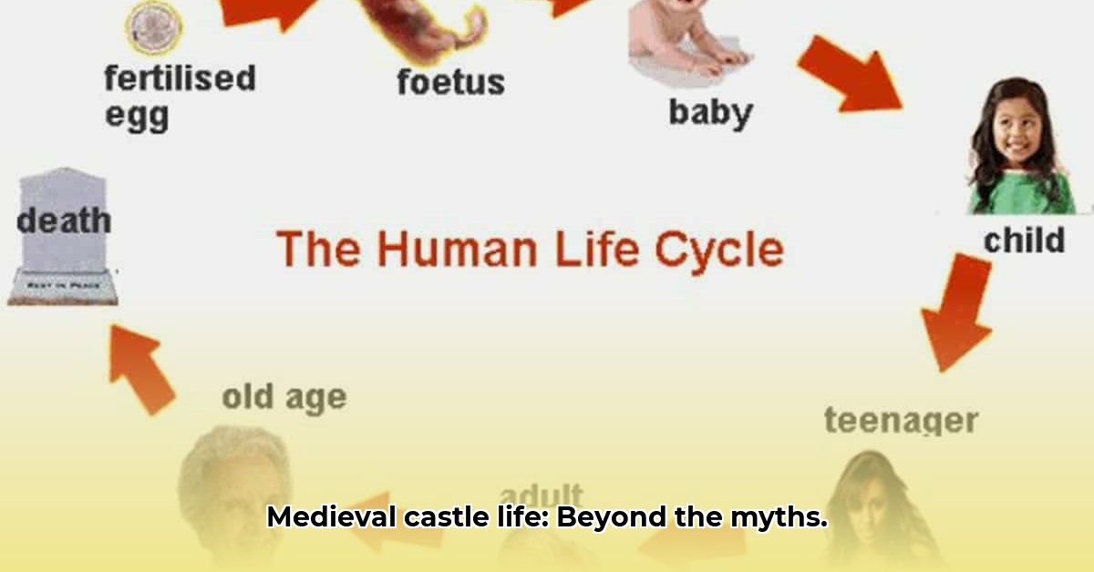 Life in a Medieval Castle Beyond the Battles and Banquets edited