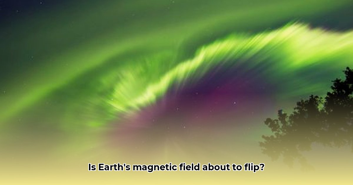 Magnetic Pole Reversal What It Is and Why It Matters edited