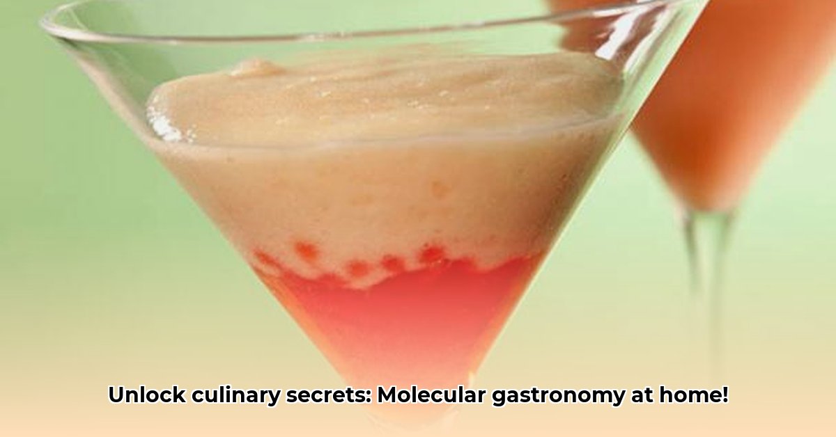 Molecular Gastronomy The Science That Turns Your Kitchen into a Lab edited