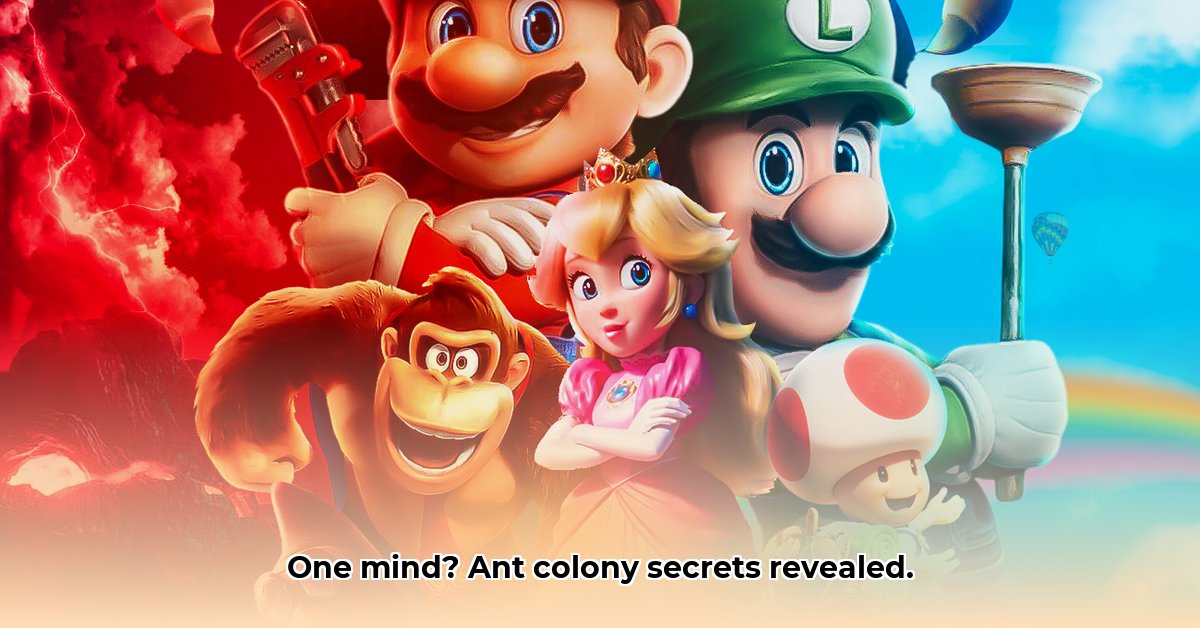 Super Organisms Are Ant Colonies and Beehives a Single Conscious Entity edited