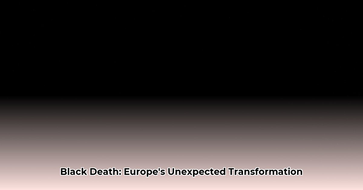 The Black Death How it Reshaped the Social and Economic Fabric of Europe edited