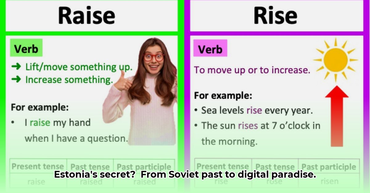 The Rise of Estonia From Soviet State to Europe s Digital Nomad Hub edited