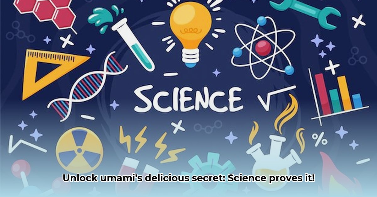 The Science of Umami Why We Crave Savory Foods edited