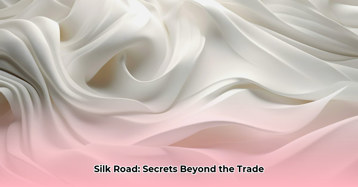 The Silk Road More Than a Trade Route edited
