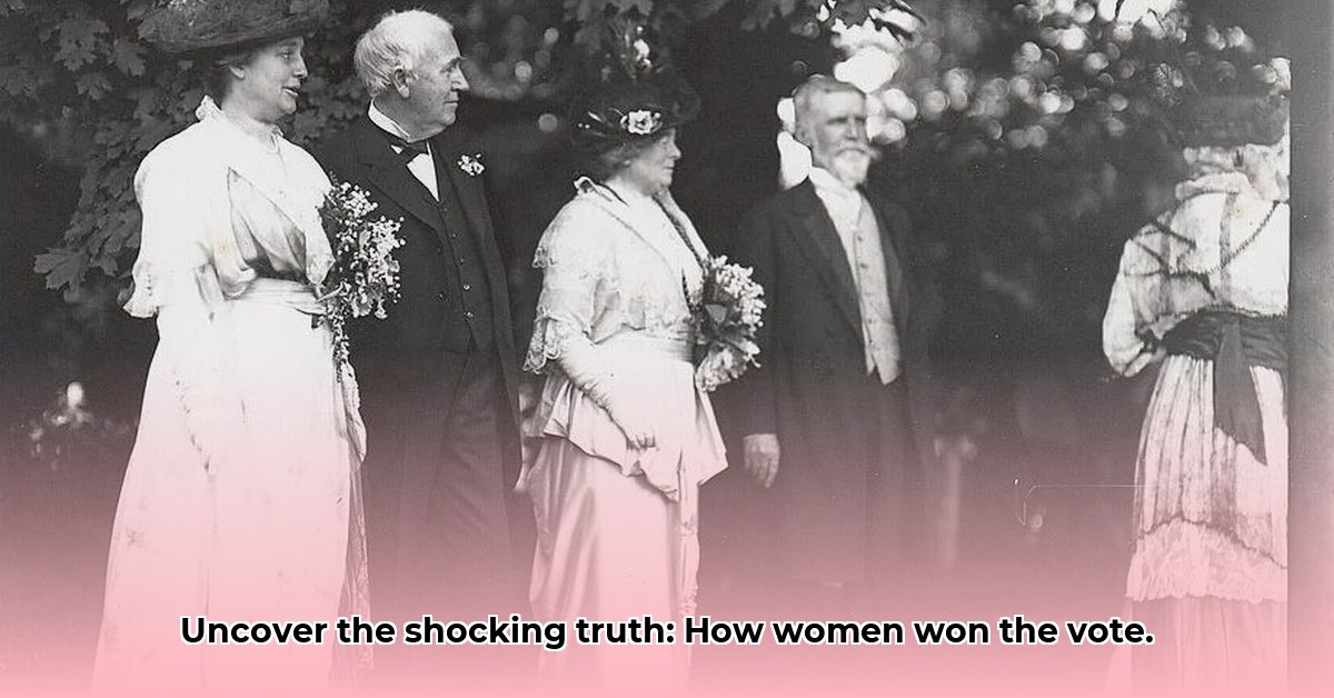 The Suffragettes The Militant Tactics Used to Win the Vote for Women edited