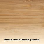 The_Wood_Wide_Web__Uncovering_the_Secret_Communication_Network_of_Trees_edited