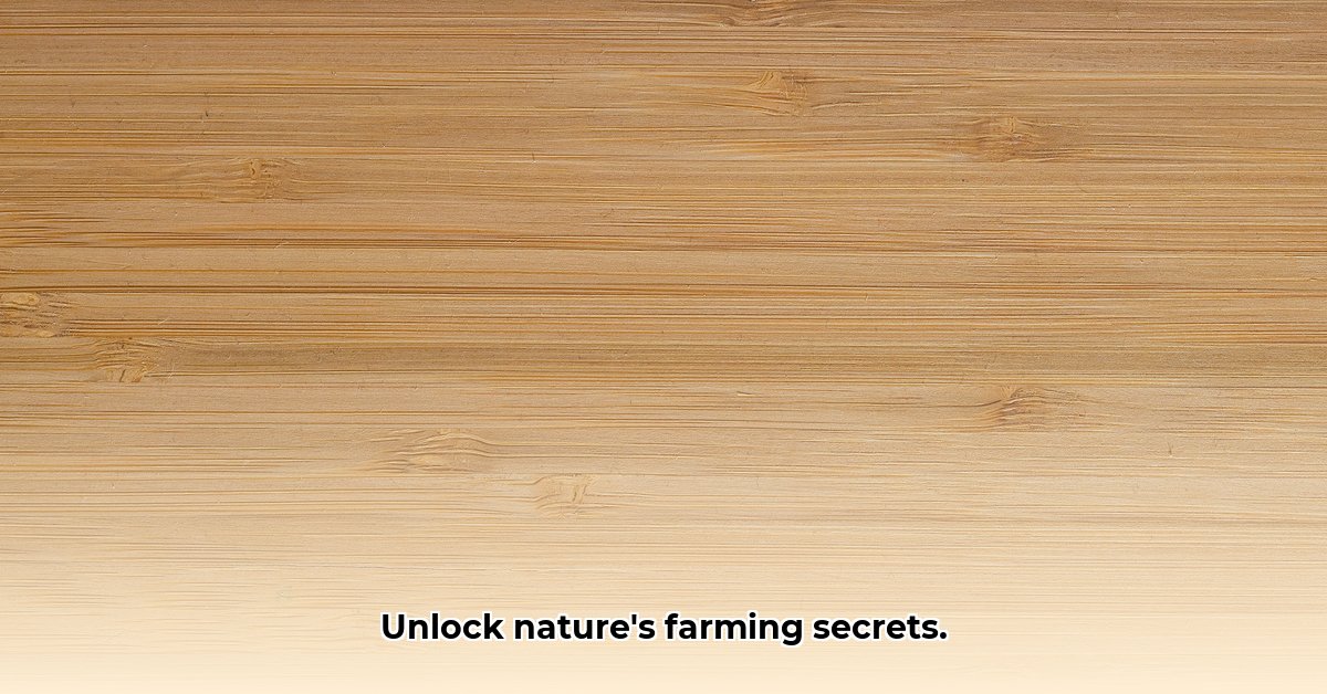 The Wood Wide Web Uncovering the Secret Communication Network of Trees edited