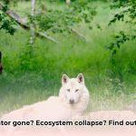Trophic_Cascades__The_Ripple_Effect_of_Removing_a_Single_Predator_edited