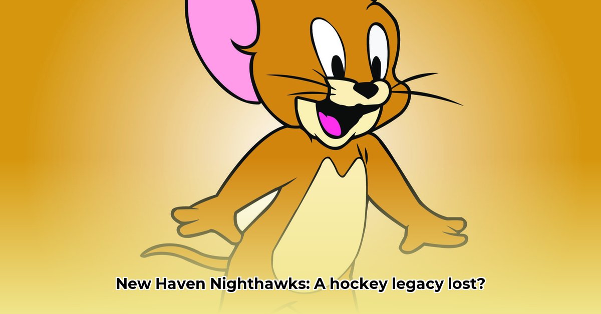 jerry mcsorley new haven nighthawks edited