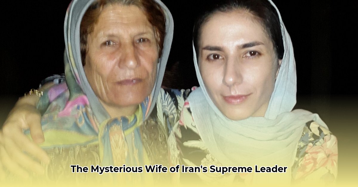 mansoureh khojasteh bagherzadeh biography edited