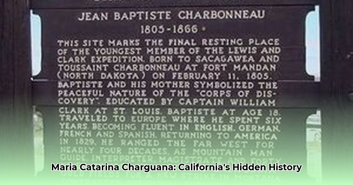 maria catarina charguana public statements edited