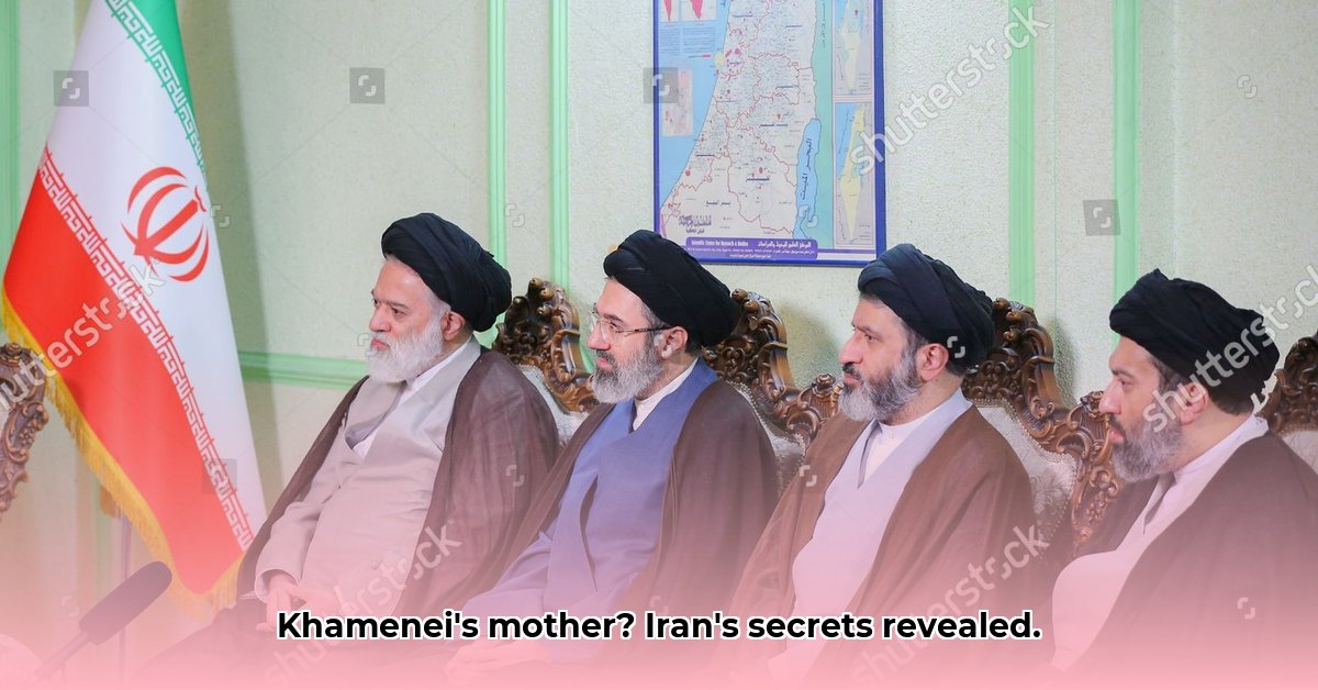 meysam khamenei mother edited