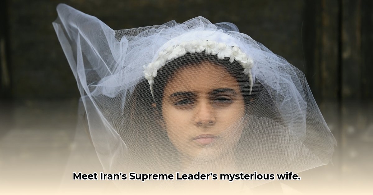 story of mansoureh khojasteh bagherzadeh edited