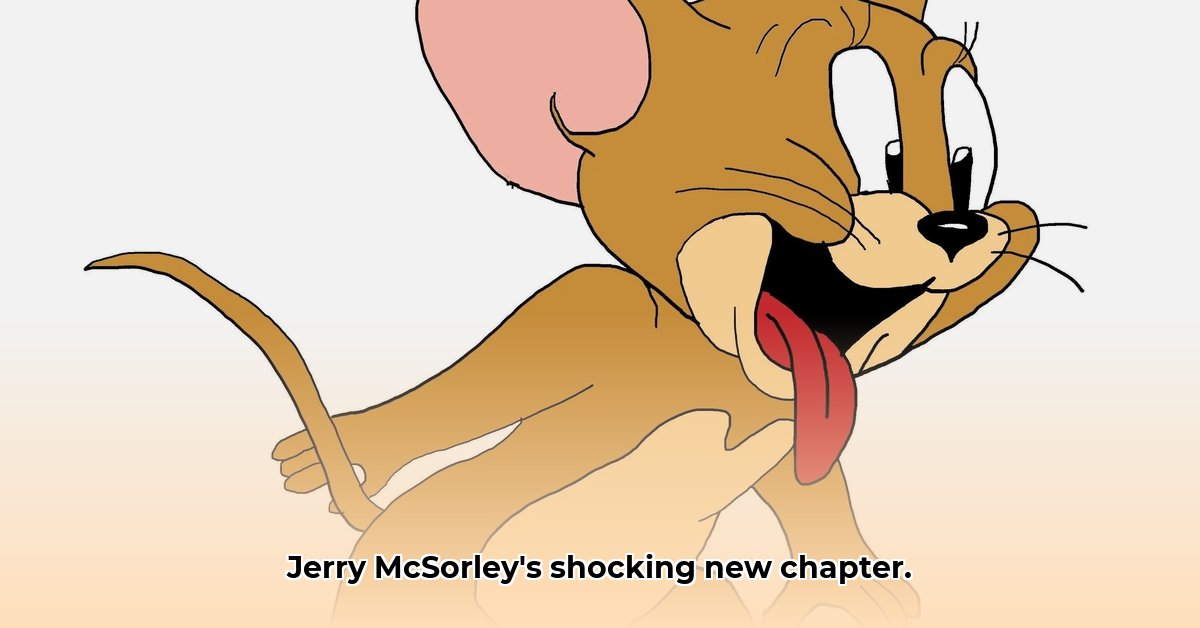 what is jerry mcsorley doing now edited