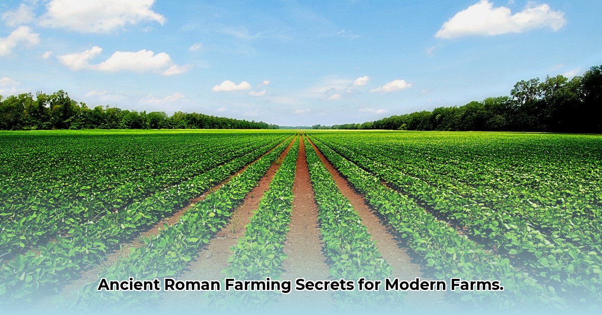 agriculture ancient rome edited
