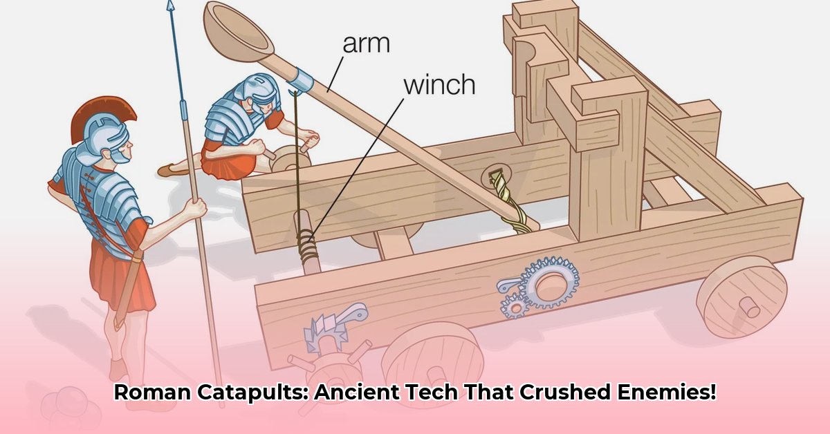 ancient roman catapult edited