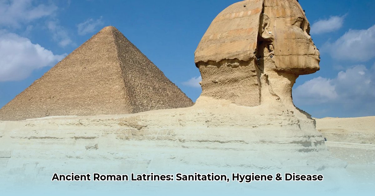 ancient roman latrines edited