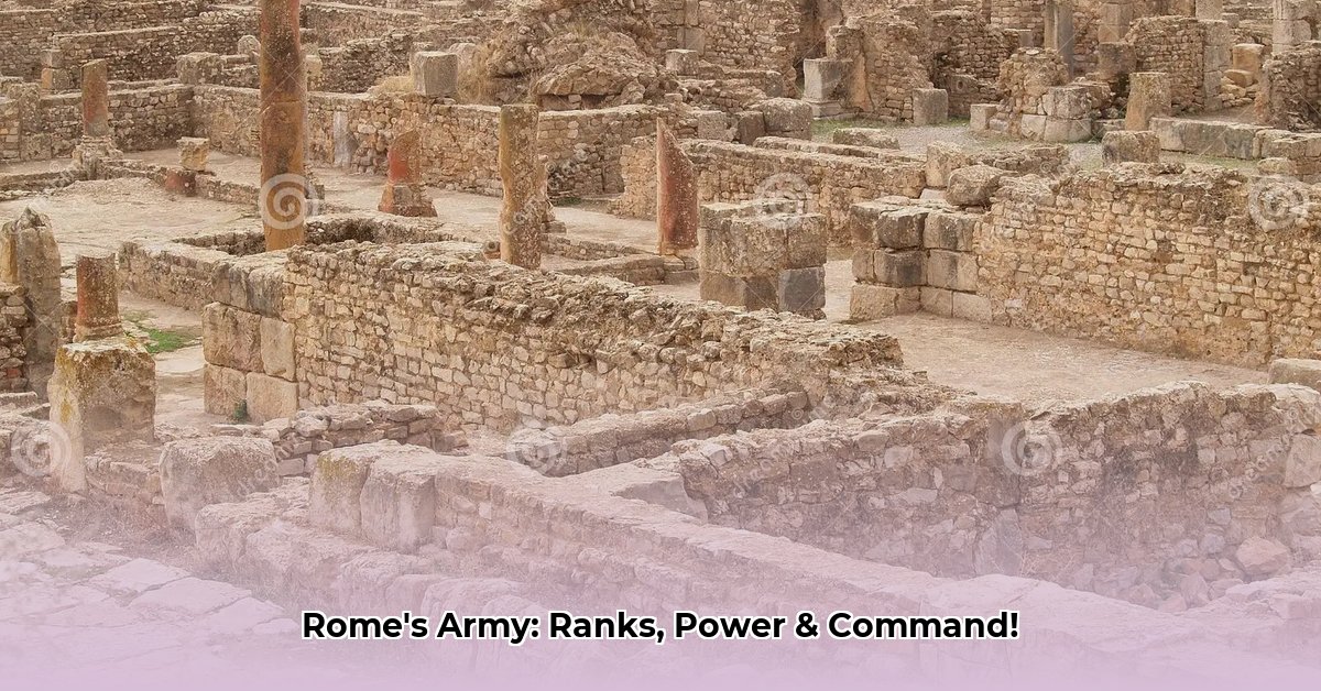 ancient rome army ranks edited