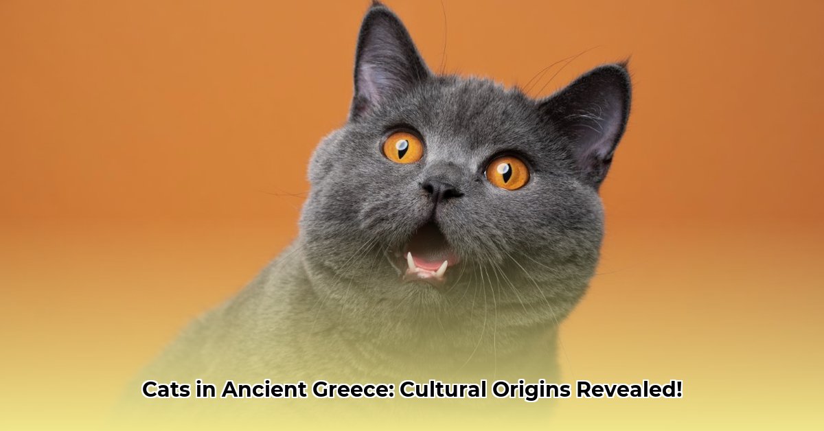 cats in ancient greece edited