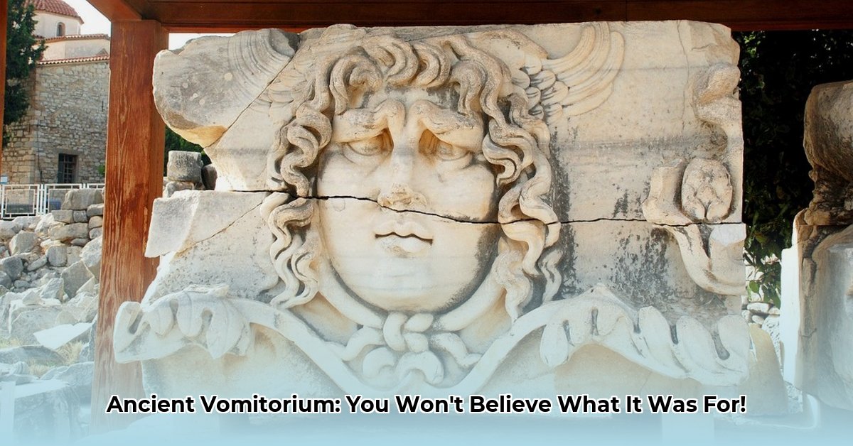 vomitorium ancient rome edited