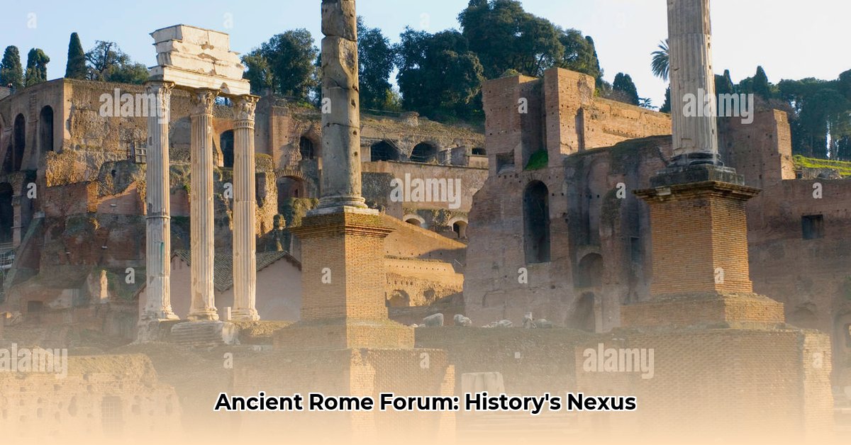 what was the forum in ancient rome edited